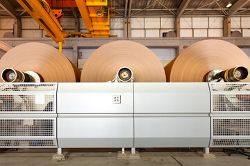 The machinery in a paper mill plant. © Jose Luis Stephens