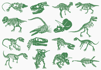 Graphical color illustration, set of green dinosaur skeletons isolated on white background,vector illustration  © Алексей Воробьёв