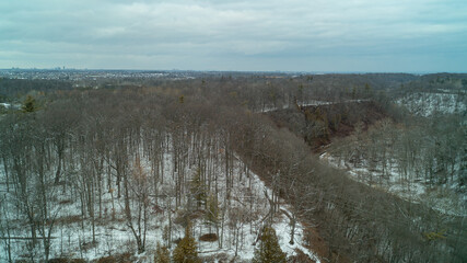 A Creek in a forested valley on a cloudy day in the winter. Taken with a drone from a bird's eye view