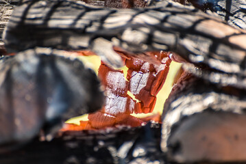 close up of logs set on fire to cook meat on the fire, typical argentinian
