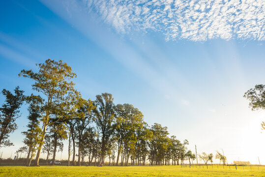 Countryside landscape in autumn with road, trees and curve