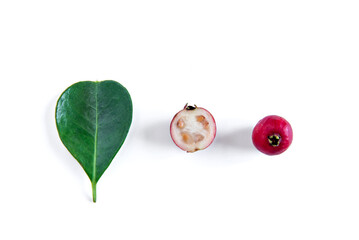 Red Cherry guava fruit and leaves on white background (Psidium cattleyanum)