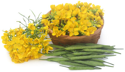Closeup of mustard flowers
