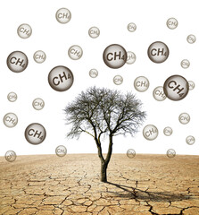 Tree in the arid landscape with bubble with CH4 text isolated on transparent background, PNG. Global warming or change climate concept. Environmental problems. Growing methane in the atmosphere.