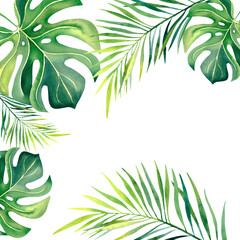Fototapeta na wymiar Monstera leaves, palm branch, banana leaves. Watercolor illustration. Tropical plants. Tropical nature.