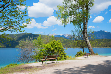 benches at lake shore Eibsee, springtime landscape upper bavaria