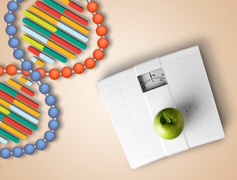 DNA structure, sport dumbbells and tape measure on desk