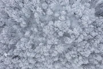 Kurkino Nature Park - Moscow, Russia