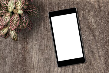 New modern smartphone with a blank screen