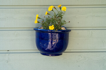 flowers in a vase on a wall