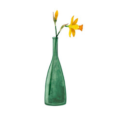 Hand painted watercolor illustration of green glass bottle with yellow Daffodil flower. Cozy home decor items. Spring flowers. Isolated objects on transparent background