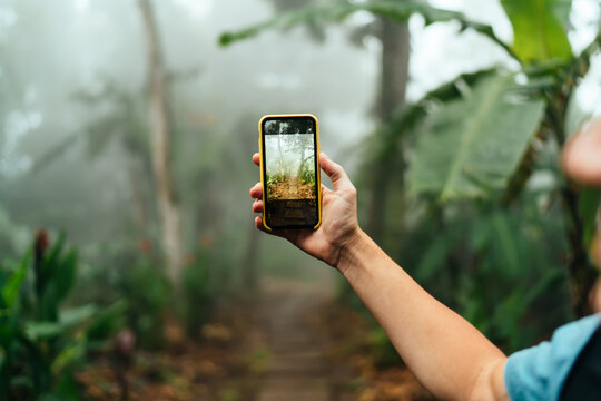 Unrecognizable man taking photo of exotic scenery