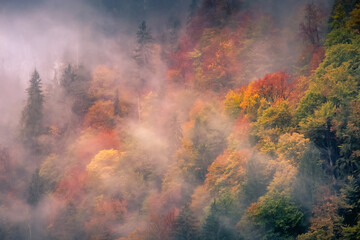 Naklejka na ściany i meble Colorful misty Autumn in Bavarian Forest at evening, Berchtesgaden, Germany
