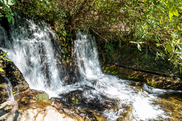 Woodland waterfall in Nainital, Uttrakhand 