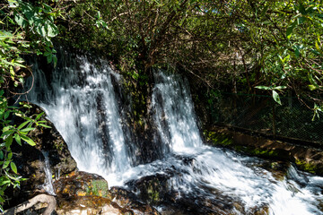 Woodland waterfall in Nainital, Uttrakhand 