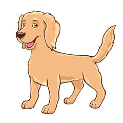 Cartoon cute dog on white, friendly golden retriever drawn vector illustration