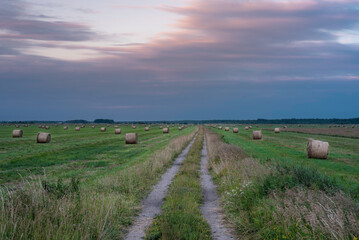 hey rolls in beautiful wide green fields on sunset