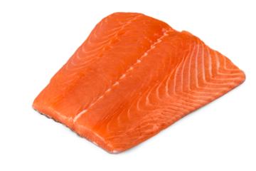 fresh uncooked red fish fillet over white