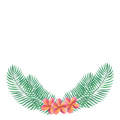 Tropical palm leaves and plumeria frangipani flowers. Hand-drawn watercolor illustration isolated on white background
