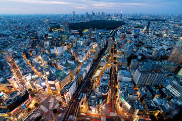 Aerial View of Shibuya, Tokyo at sunset