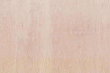 Light rough textured cut surface of an African tree. Wood background or blank for design