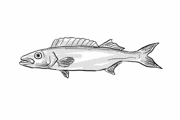 Oilfish Ruvettus pretiosus Hawaii Fish Cartoon Drawing Halftone Black and White