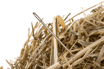 Close-up of a Needle in a Hay