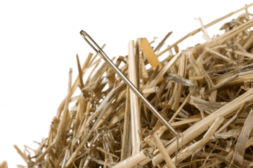 Close-up of a Needle in a Hay
