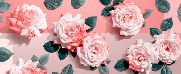 Pink roses with green leave