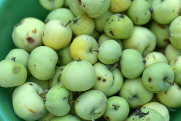 Homemade apples in a green bowl