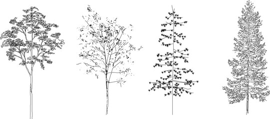 Cute minimalistic tree illustration vector sketch