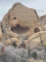 The Desert