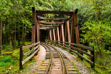 Beautiful view of Forest Railway Shuishan Trail at the Alishan Forest Recreation Area in Chiayi, Taiwan.