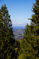 Obraz premium Steibis_9695