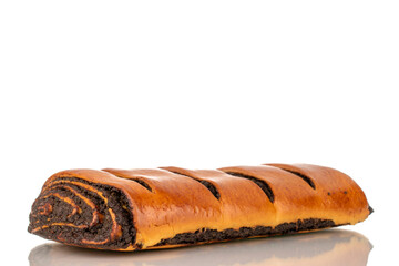 One appetizing poppy seed roll, macro, isolated on white background.