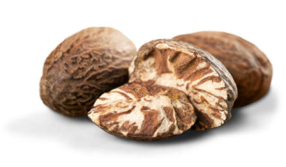 Spice collection. A small bunch of beans