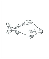 illustration of a fish line art on white