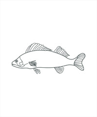 illustration of a fish line art on white