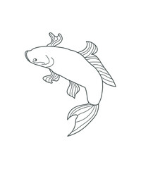 illustration of a fish line art on white
