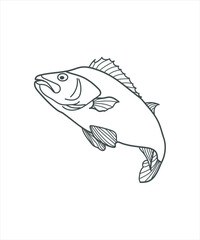 illustration of a fish line art on white