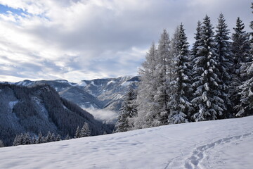 Verschneite Landschaft in der Steiermark (Österreich)