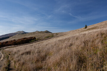 Polish Bieszczady Mountains in autumn among grasses and hills - landscape with sky