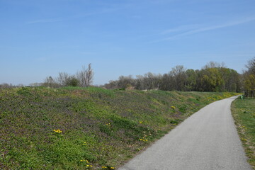 Frühlingshafter Radweg