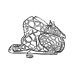 Line drawing at the zoo of giraffe sleeping 