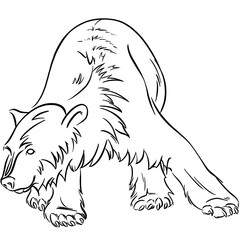Line drawing at the zoo of a polar bear on an ice burg 