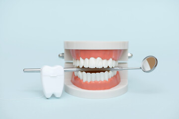 Fototapeta na wymiar Teeth model and dental mirror on a light background. Oral care concept