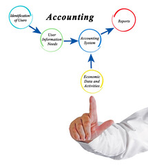  Accounting System: Inputs and Output