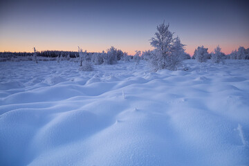 dawn on beautiful snowy meadow in frost