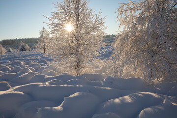 sunshine on beautiful winter snowy landscape