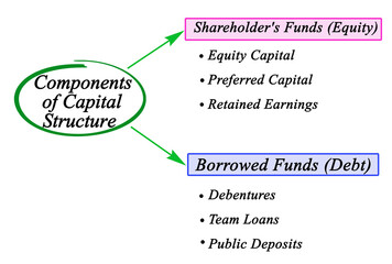 Six Components of Capital Structure